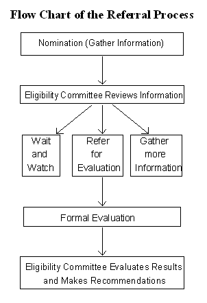 Flow Chart of the Referral Process 